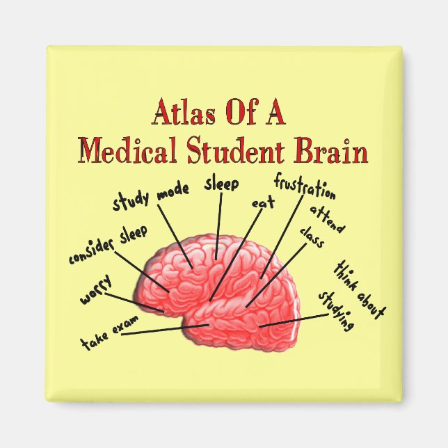 Atlas of Medical Student Brain Magnet (Framsidan)