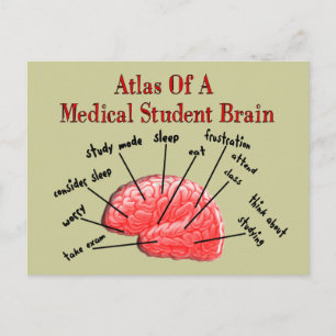 Atlas of Medical Student Brain Vykort