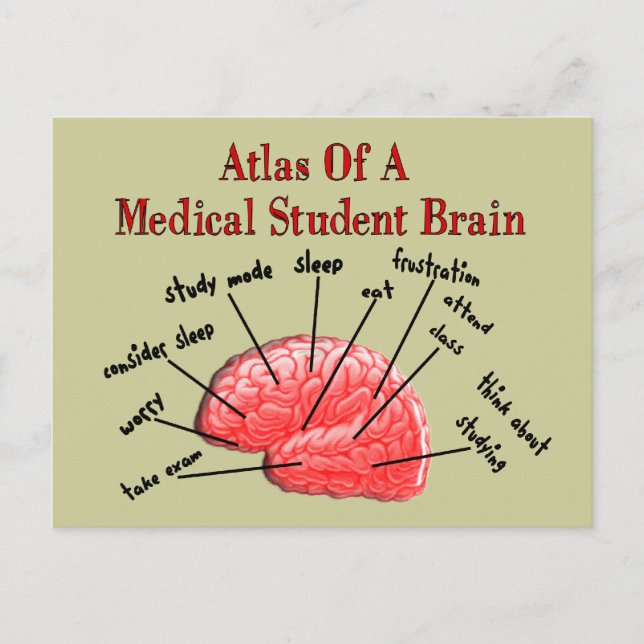 Atlas of Medical Student Brain Vykort (Framsida)