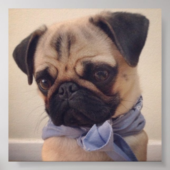 Atlas Poster (Framsidan)