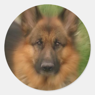 Atlas the Wonderdog Runt Klistermärke