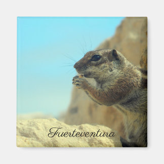 Atlashörnchen Magnet