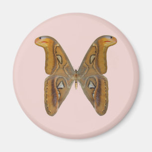 Atlasmotha Magnet