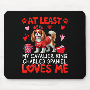 Åtminstone Cavalier King Charles Spaniel kärleksfu Musmatta
