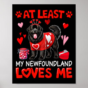 Åtminstone min Newfoundland älskar mig på Alla hjä Poster