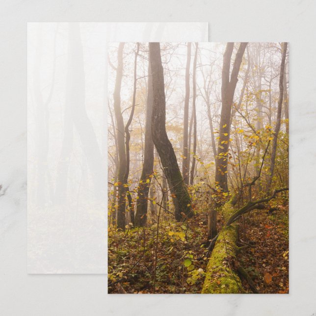 Atmospheric Autumn Forest in Mist Julkort (Fram/baksida)