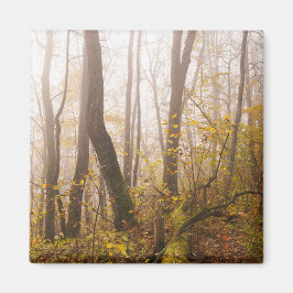 Atmospheric Autumn Forest in Mist, photo Magnet
