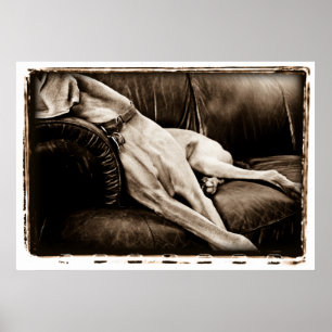 Atom- Cerebellum: Ta över soffan Poster