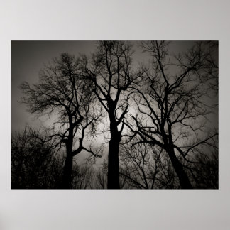 Atomblocket: Sjö Front in Winter Poster