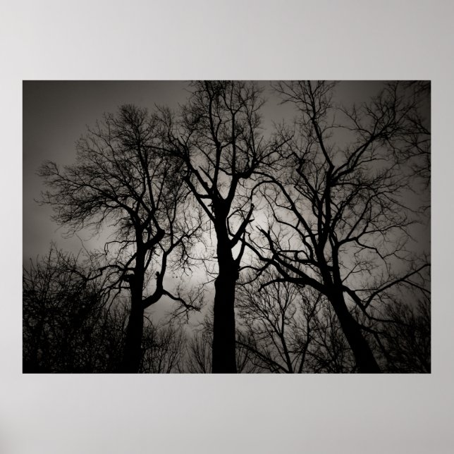 Atomblocket: Sjö Front in Winter Poster (Framsidan)