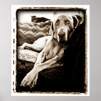 Atomic Cerebellum : Ballous ordförande Poster