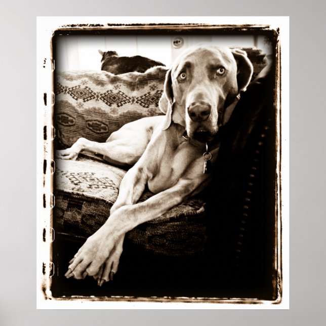 Atomic Cerebellum : Ballous ordförande Poster (Framsidan)