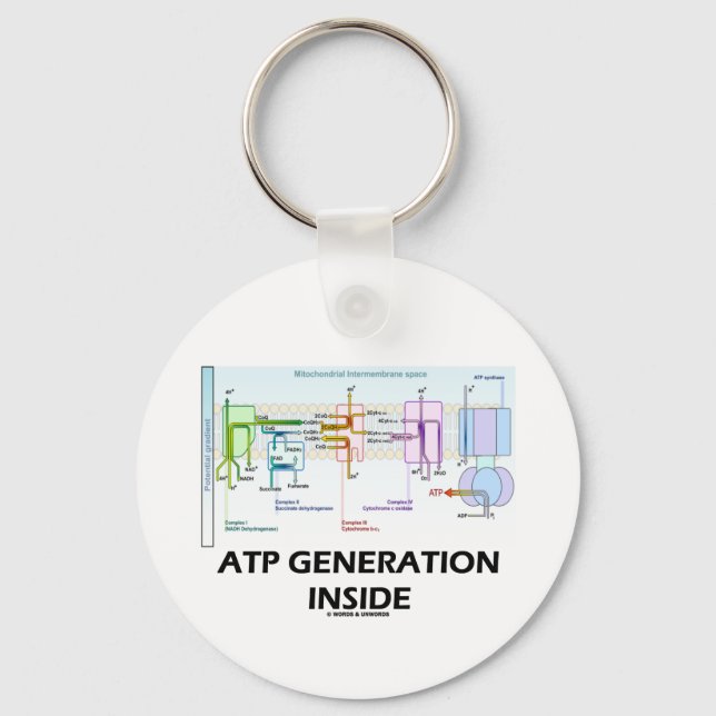 ATP Generation Inside (Electron Transport chain) Nyckelring (Framsida)
