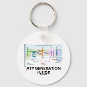 Atp-generationinsida (elektrontransport kedjar), nyckelring
