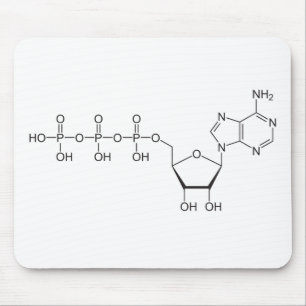 Atp-molekyl Musmatta