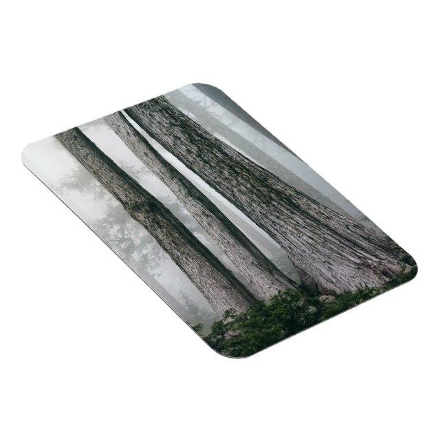 Att åberopa skogen magnet (Högersidan)