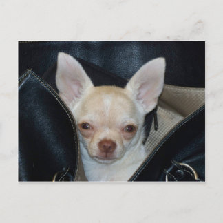 Att åka en runda vykort