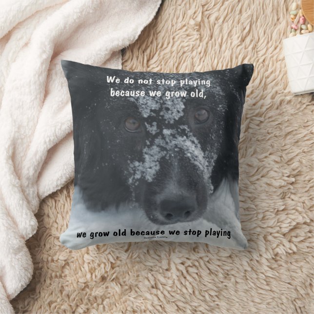 Att åldras Inspirerande Citat Border Collie  Kudde (Filt)