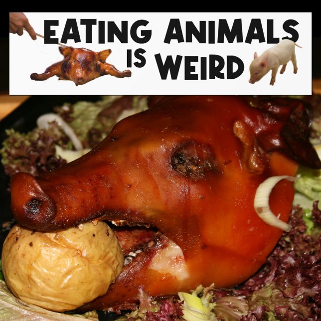 Att äta upp djur är Konstig, Vegan Activism Bildekal (Skapare uppladdad)