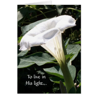 Att att bo i hans ljust hälsningskort