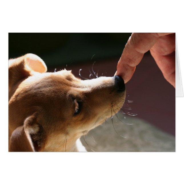 Att att vara utan en hund… hälsningskort (Framsidan Horizontal)