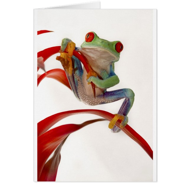 Att balansera agerar hälsningskort (Framsidan)