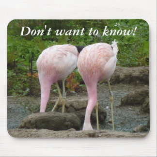 Att begrava huvudet i sanden! musmatta