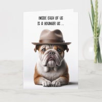Att bli äldre Humor-bulldog vid födelsedag med Fed