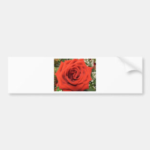 Att blomma steg bildekal