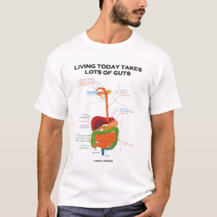 Att bo i dag tar raddainnanmäte t-shirt