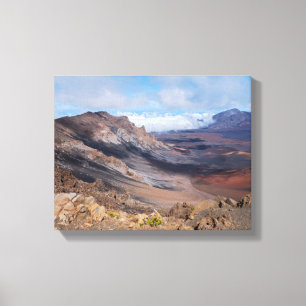 att bortse från haleakalakater från rim canvastryck