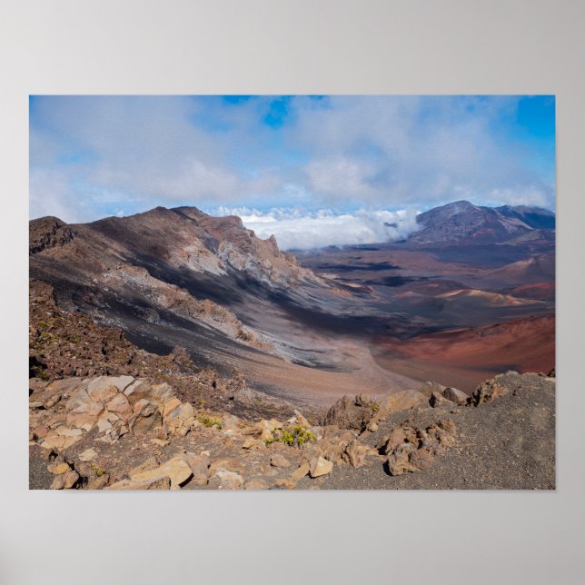 att bortse från haleakalakater från rim poster (Framsidan)