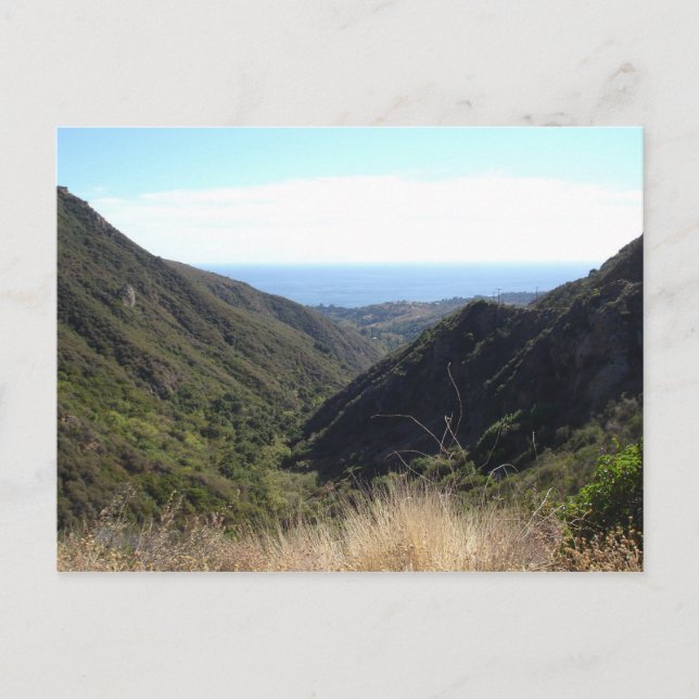 Att bortse från Stilla havet Vykort (Framsida)