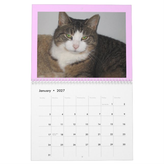Att bry sig om den vilsekommet djurväggkalendern kalender (Jan 2027)