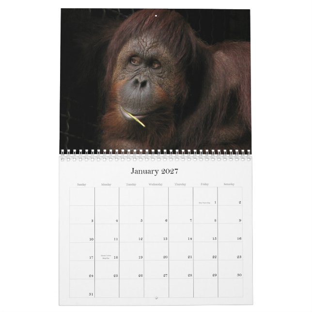 Att bry sig vem, om den är säsongsbetonad? kalender (Jan 2027)