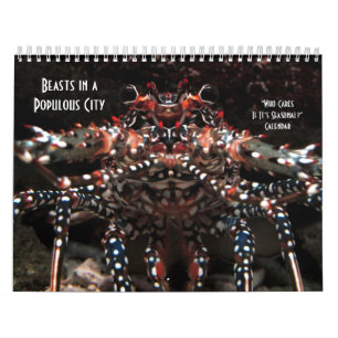 Att bry sig vem, om den är säsongsbetonad? kalender