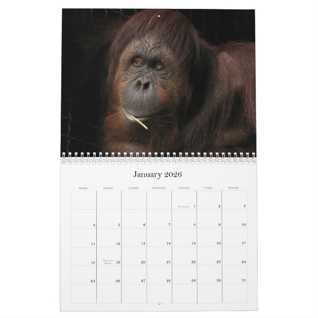 Att bry sig vem, om den är säsongsbetonad? kalender (Jan 2026)