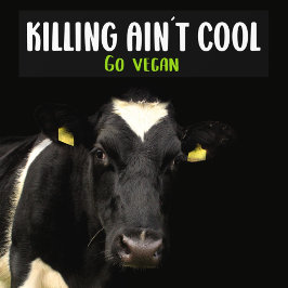 Att döda är ingen Coola, gå Vegan, Activism Bildekal