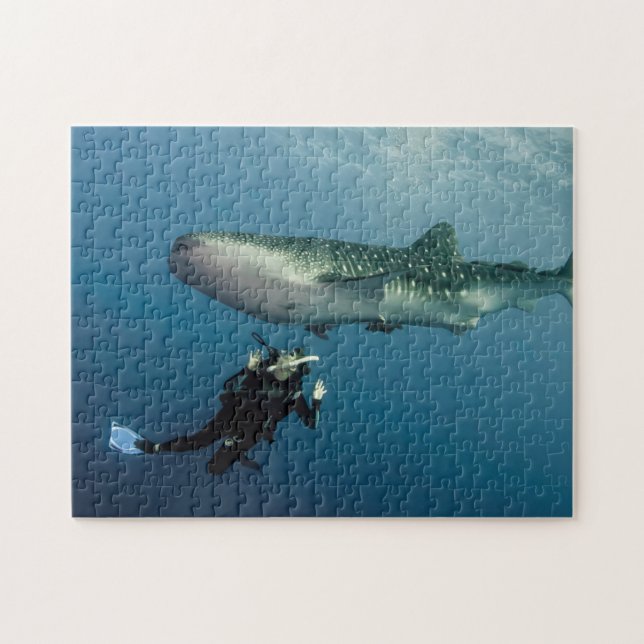 Att ducka för täcker? pussel (Horisontell)