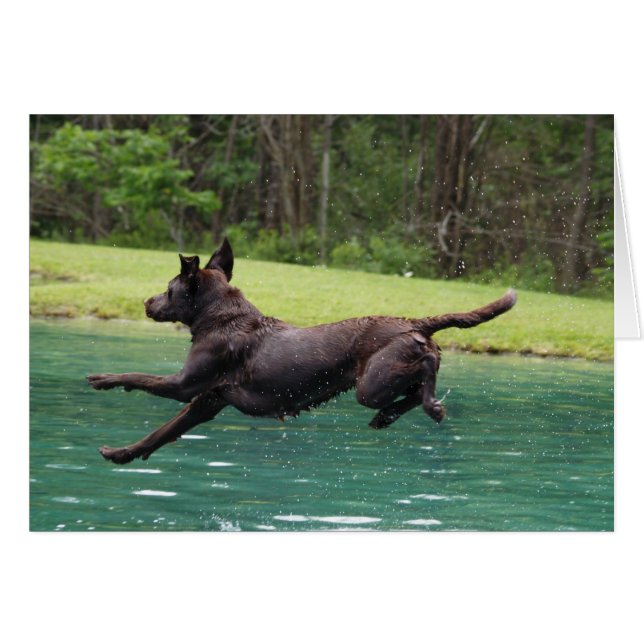 Att flyga hoppar! hälsningskort (Framsidan Horizontal)