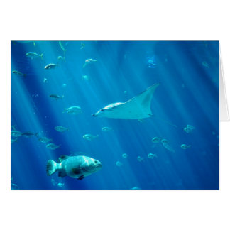 Att flyta sticker strålen hälsningskort