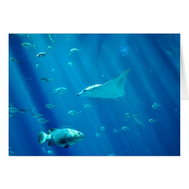 Att flyta sticker strålen hälsningskort (Framsidan Horizontal)