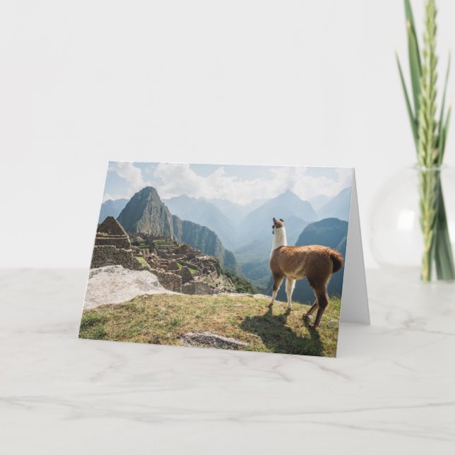 Att förbise för Llama fördärvar | Machu Picchu, Kort (Framsida)