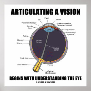 Att förmedla en vision börjar förstå Öga Poster