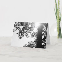 Att gå i solen noterar kortet w/envelop