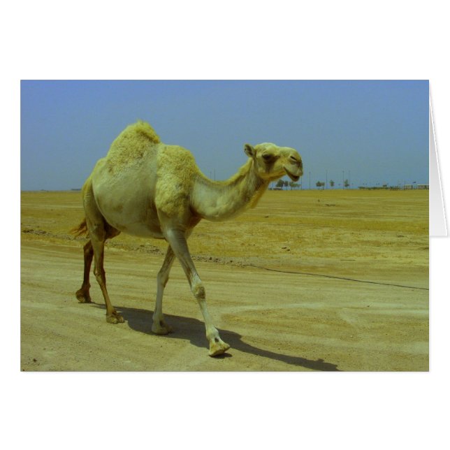 Att gå på den långa vägen hälsningskort (Framsidan Horizontal)