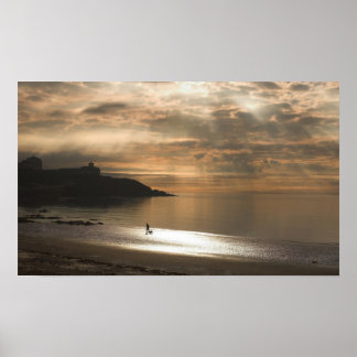 Att gå på Hund på Douglas Beach Poster