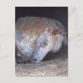 Att göra det enkelt vykort