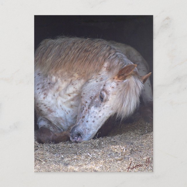 Att göra det enkelt vykort (Framsida)