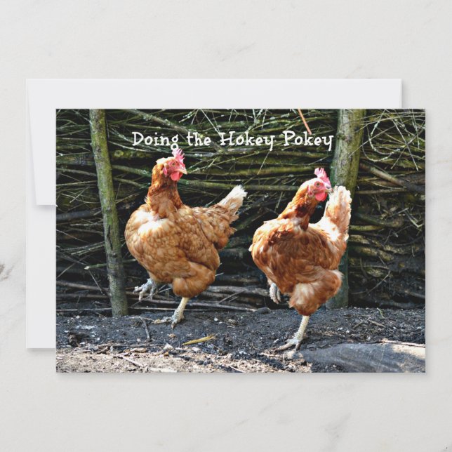 Att göra Hokey Pokey, Hokey Pokey Chickens. Kort (Framsida)